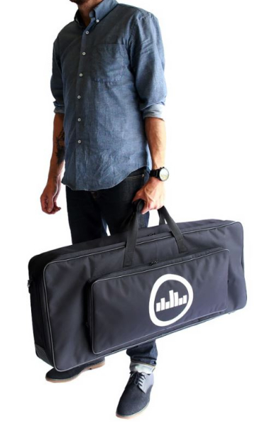 Temple Audio Design DUO-34-SC Softcase